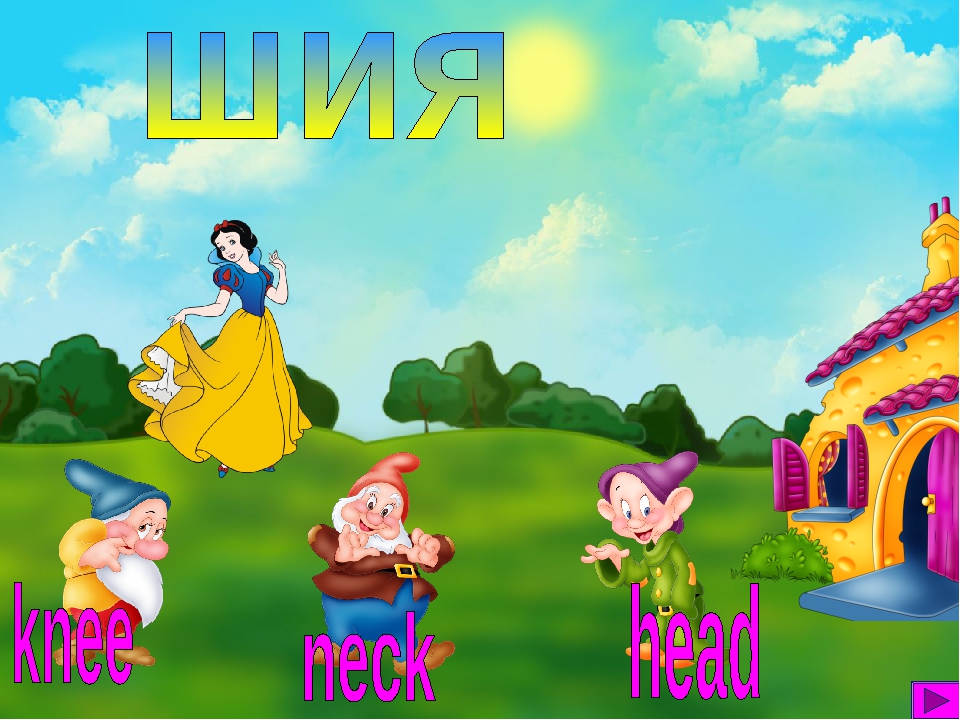 Тренажер "Parts of Body"