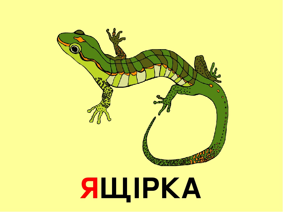 Презентація "Буква "Я" 1 клас НУШ
