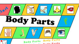 Parts of the Body (Заняття в пришкільному мовному таборі)