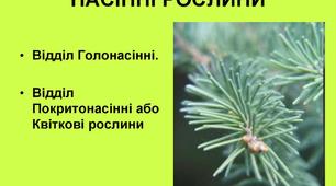 Біологія 10 клас Тема: Різноманітність насінних рослин