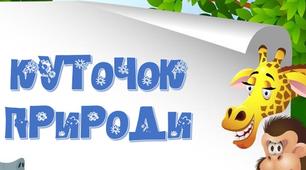 Ілюстрації до уроку (або для оформлення класу): Куточок природи