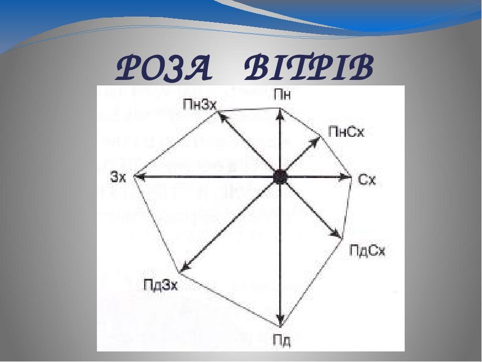 Презентация на тему розы