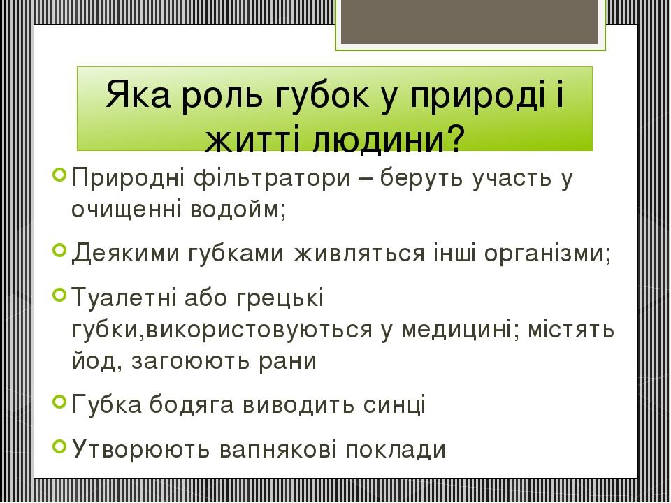Яка роль губок у природі і житті людини? Природні фільтратори – беруть участь у очищенні водойм; Деякими губками живляться інші організми; Туалетні...