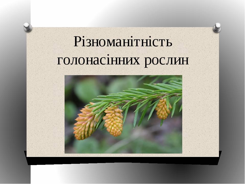 Реферат: Різноманітність голонасінних