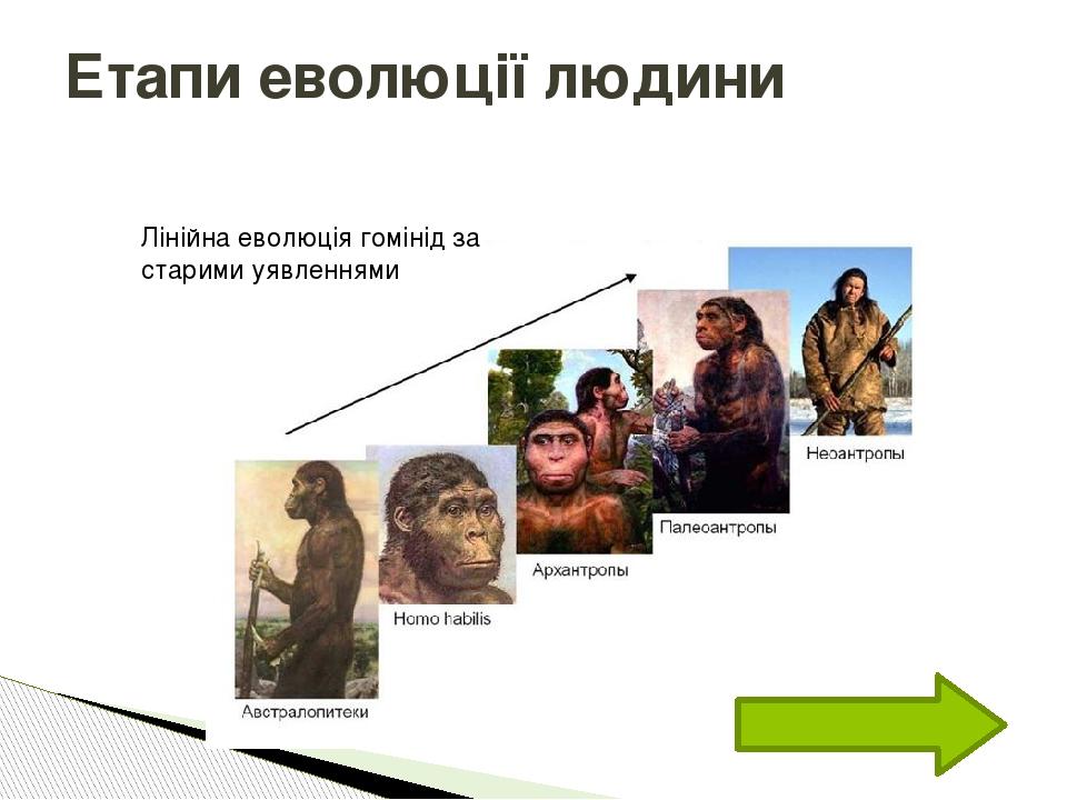 Еволюція людини. Етапи еволюції людини.