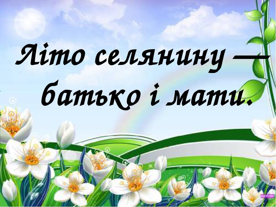 Літо селянину — батько і мати.