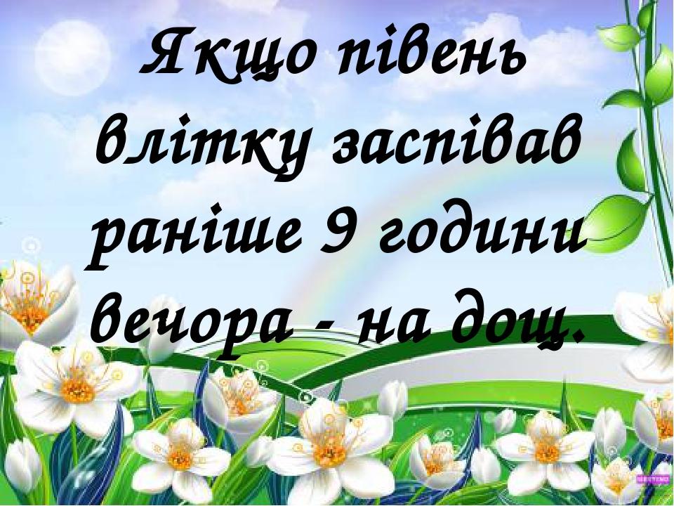 Якщо півень влітку заспівав раніше 9 години вечора - на дощ.