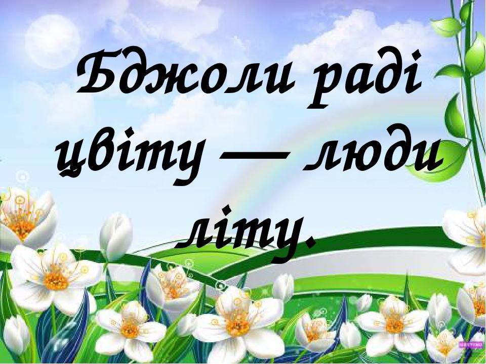 Бджоли раді цвіту — люди літу.