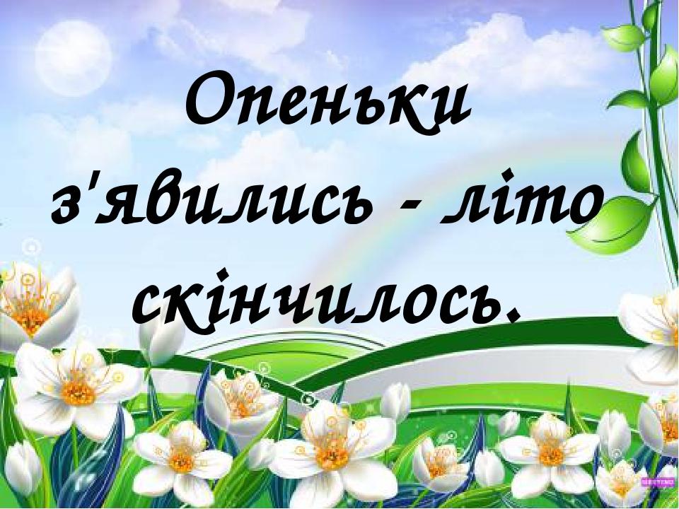 Опеньки з'явились - літо скінчилось.