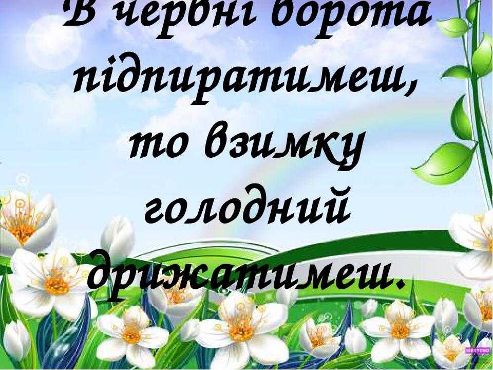 В червні ворота підпиратимеш, то взимку голодний дрижатимеш.
