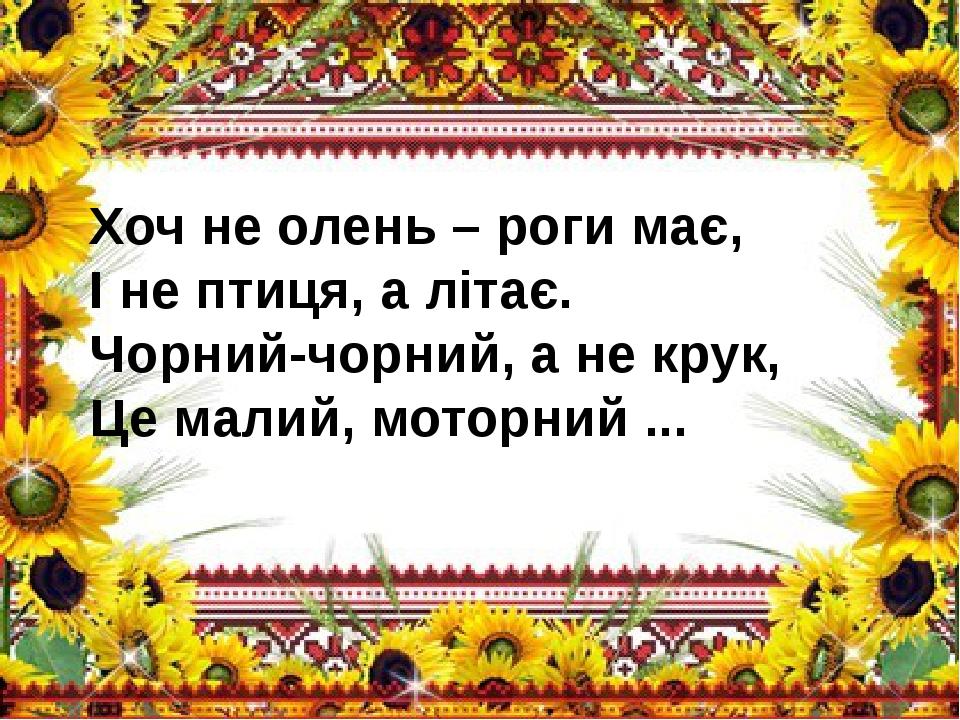 Хоч не олень – роги має, І не птиця, а літає. Чорний-чорний, а не крук, Це малий, моторний ...