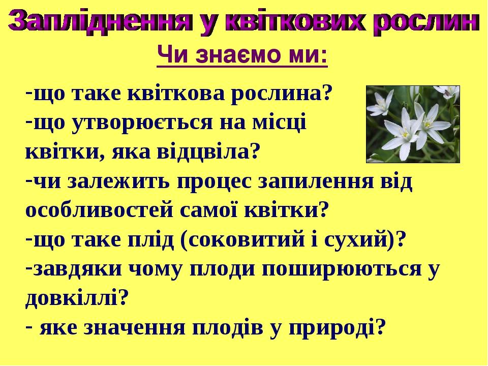 Чи знаємо ми: що таке квіткова рослина? що утворюється на місці квітки, яка відцвіла? чи залежить процес запилення від особливостей самої квітки? щ...