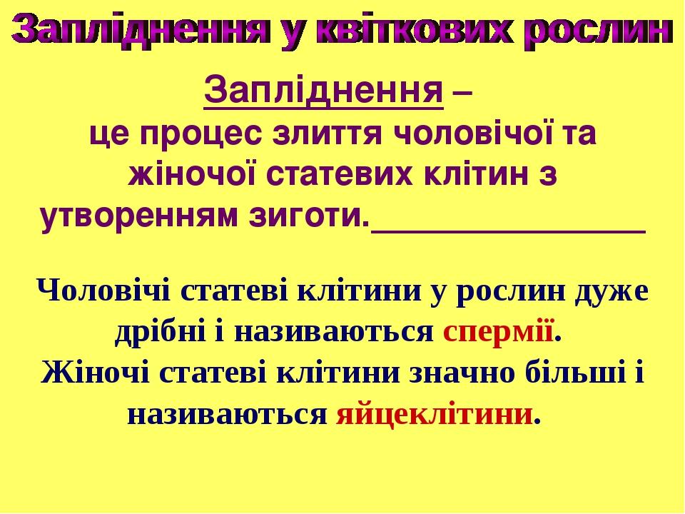 Запліднення – це процес злиття чоловічої та жіночої статевих клітин з утворенням зиготи. Чоловічі статеві клітини у рослин дуже дрібні і називаютьс...