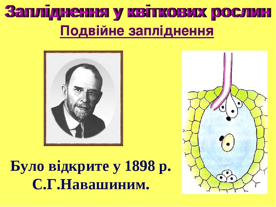 Подвійне запліднення Було відкрите у 1898 р. С.Г.Навашиним.