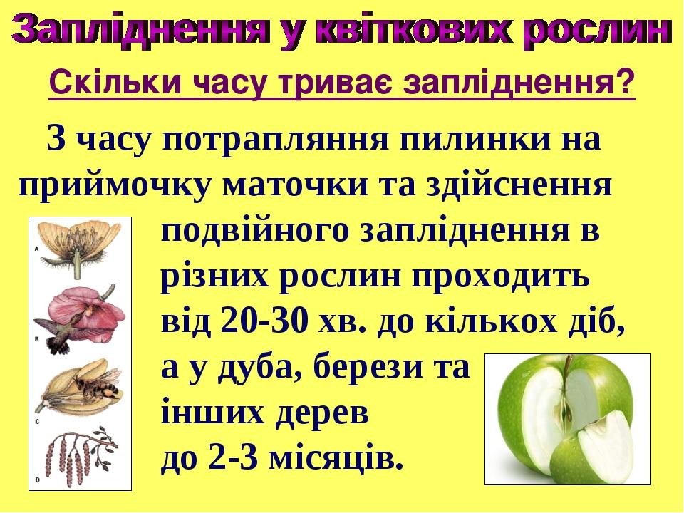 З часу потрапляння пилинки на приймочку маточки та здійснення подвійного запліднення в різних рослин проходить від 20-30 хв. до кількох діб, а у ду...