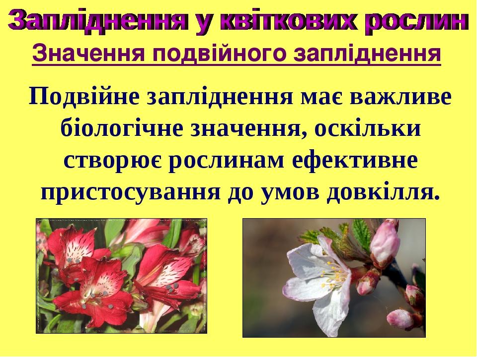 Подвійне запліднення має важливе біологічне значення, оскільки створює рослинам ефективне пристосування до умов довкілля. Значення подвійного заплі...