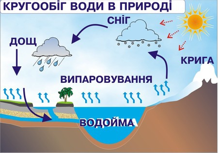 Из картинки в схему