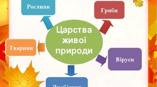Вікторина "У царстві живої природи"