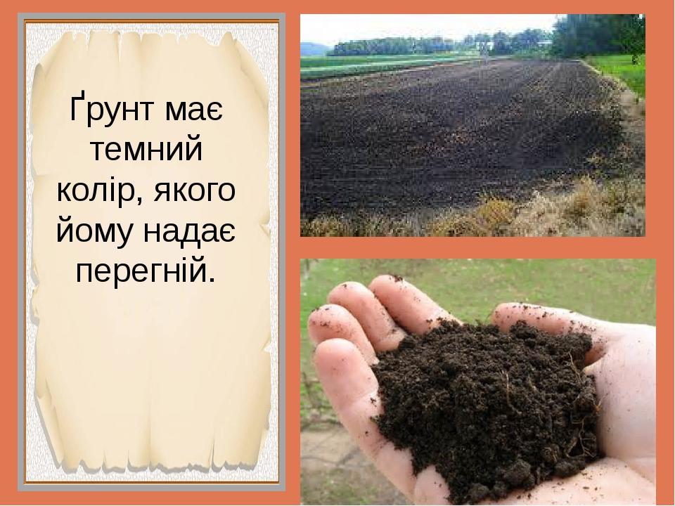 Ґрунт має темний колір, якого йому надає перегній.