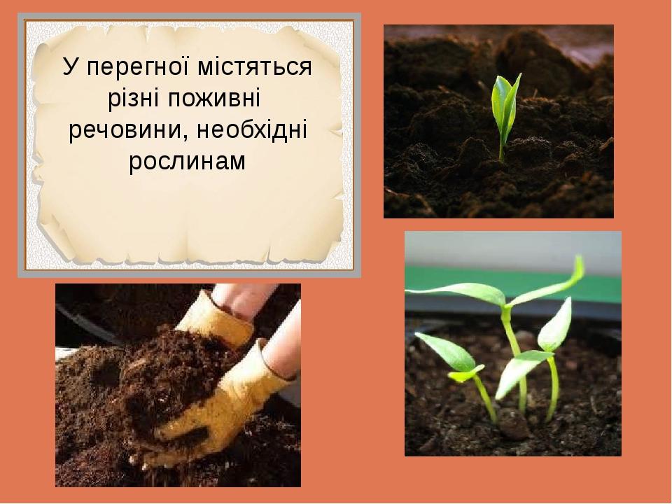 У перегної містяться різні поживні речовини, необхідні рослинам