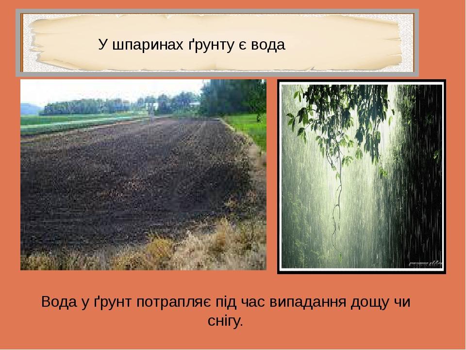 Вода у ґрунт потрапляє під час випадання дощу чи снігу. У шпаринах ґрунту є вода