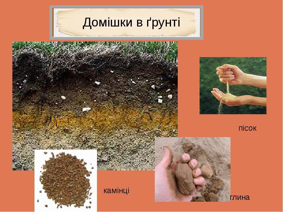 Домішки в ґрунті пісок глина камінці