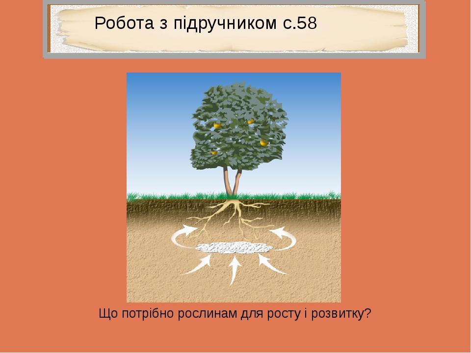 Що потрібно рослинам для росту і розвитку? Робота з підручником с.58 Робота з підручником с.58