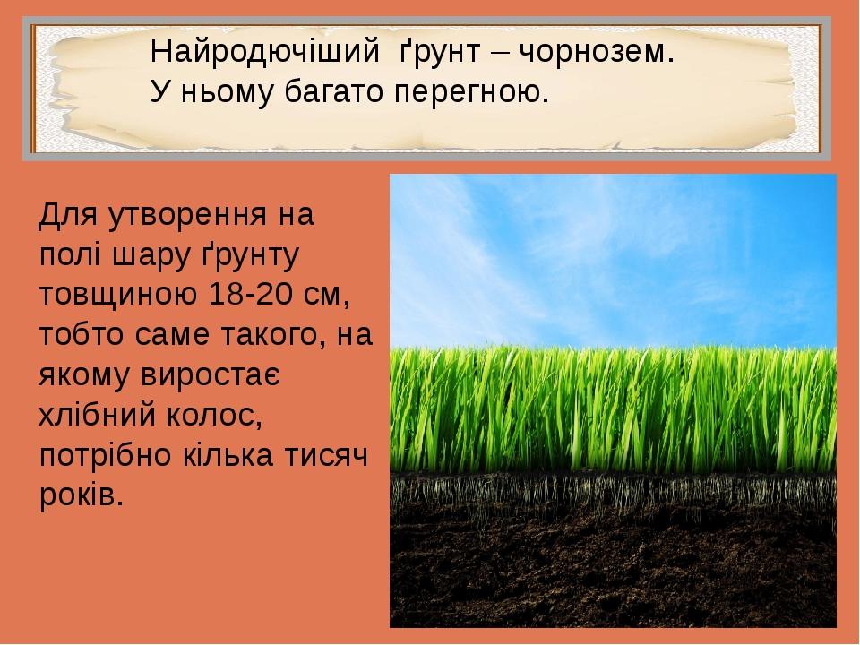 Найродючіший ґрунт – чорнозем. У ньому багато перегною. Для утворення на полі шару ґрунту товщиною 18-20 см, тобто саме такого, на якому виростає х...