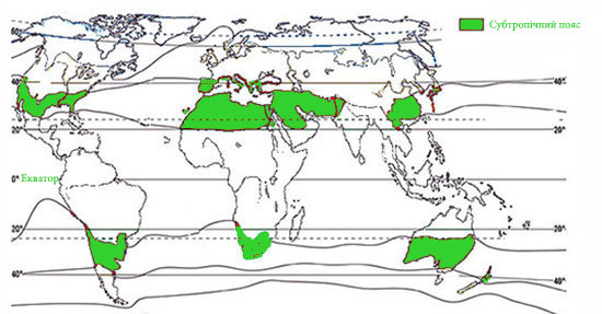 Природные зоны субтропического пояса. Субтропические гумидные ландшафты карта. Субтропический пояс на карте. Субтропические леса на карте мира. Субтропики на карте.