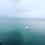 Цимбал Жанна Михайлівна