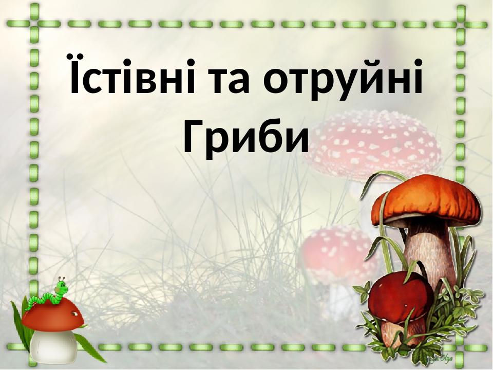 Їстівні та отруйні Гриби