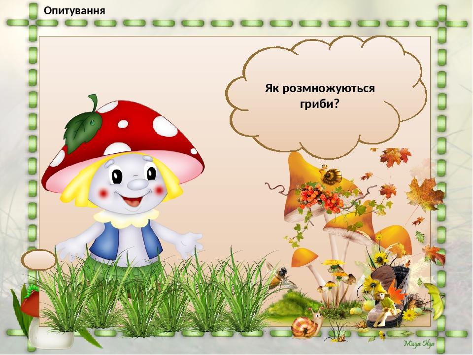 Опитування З яких частин складаються гриби? Поміркуй, чому кажуть, що грибниця - головна частина гриба? Які ти знаєш їстівні гриби? Отруйні? Яких п...