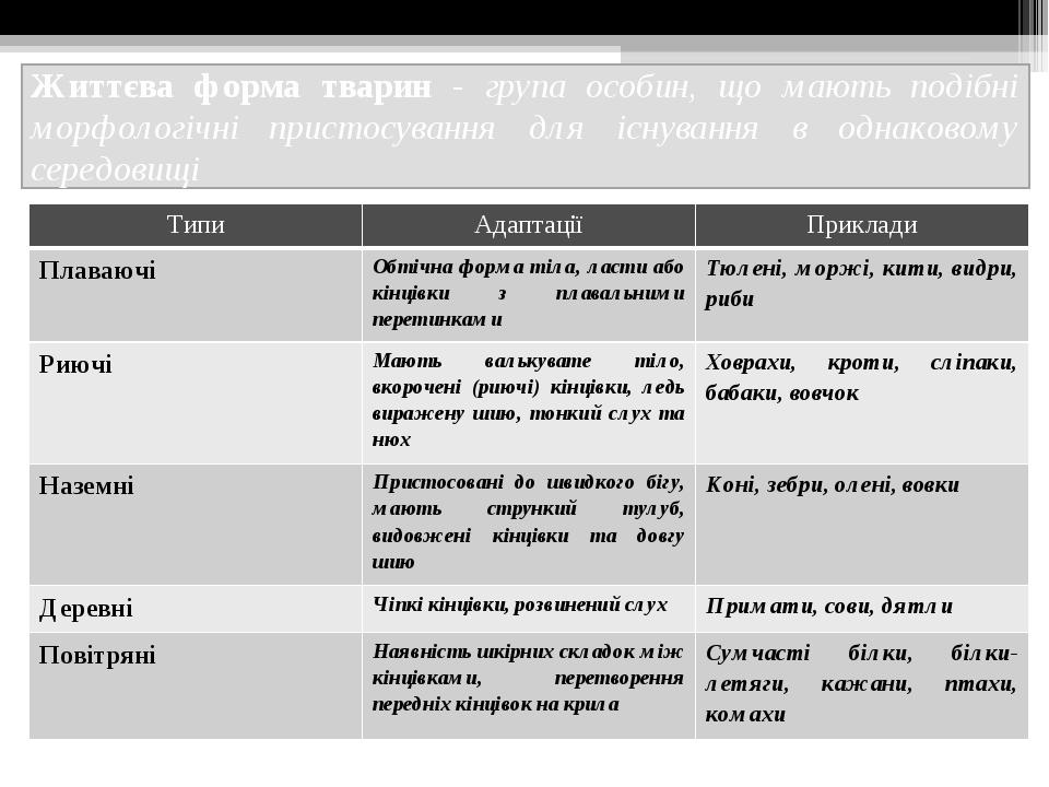 У дома рос клен схема предложения