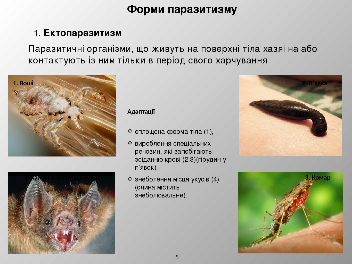 Истинный паразитизм примеры