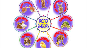 Коло вибору (оформлення класу , НУШ).