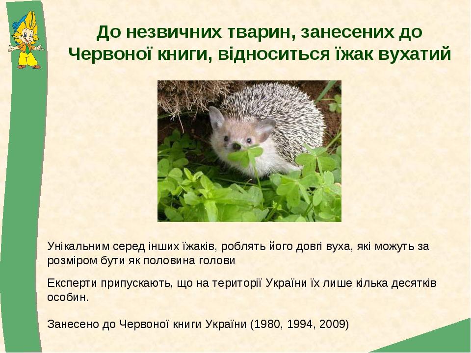 До незвичних тварин, занесених до Червоної книги, відноситься їжак вухатий Занесено до Червоної книги України (1980, 1994, 2009) Унікальним серед і...