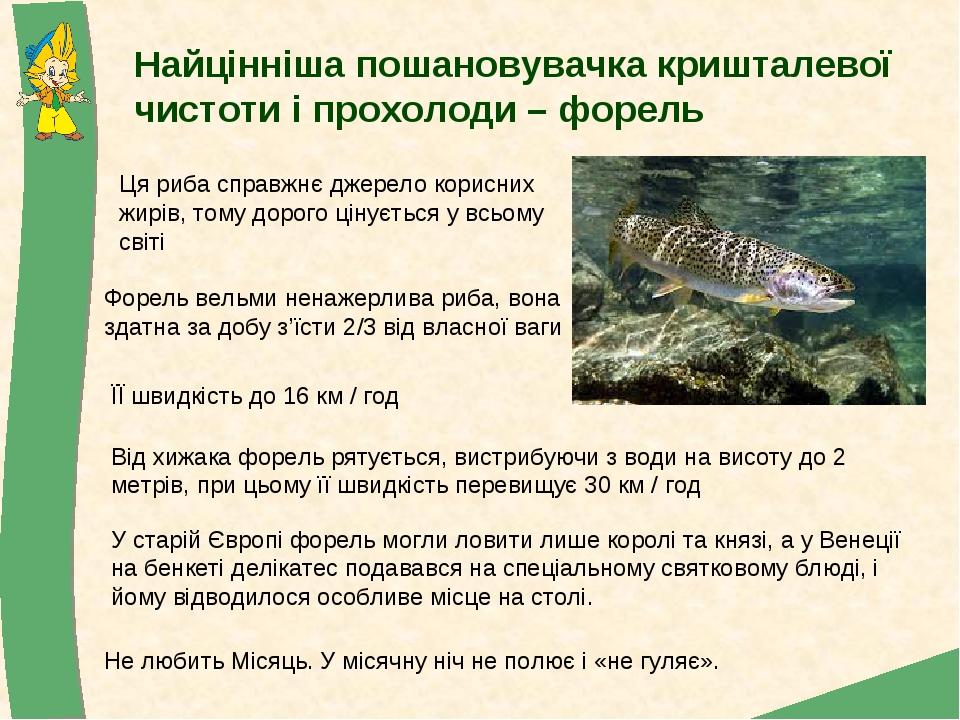 Найцінніша пошановувачка кришталевої чистоти і прохолоди – форель Ця риба справжнє джерело корисних жирів, тому дорого цінується у всьому світі У с...