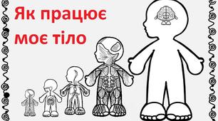 Демонстріційні таблиці "Як працює моє тіло"