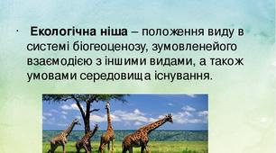 Презентація до уроку "Екологічна ніша"