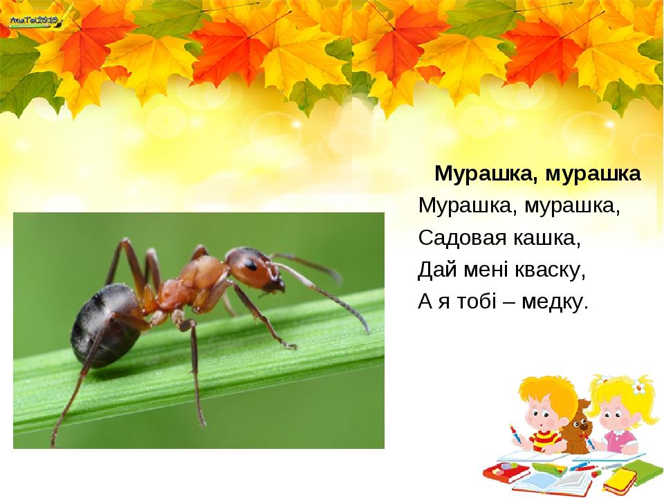 Мурашка, мурашка Мурашка, мурашка, Садовая кашка, Дай мені кваску, А я тобі – медку.