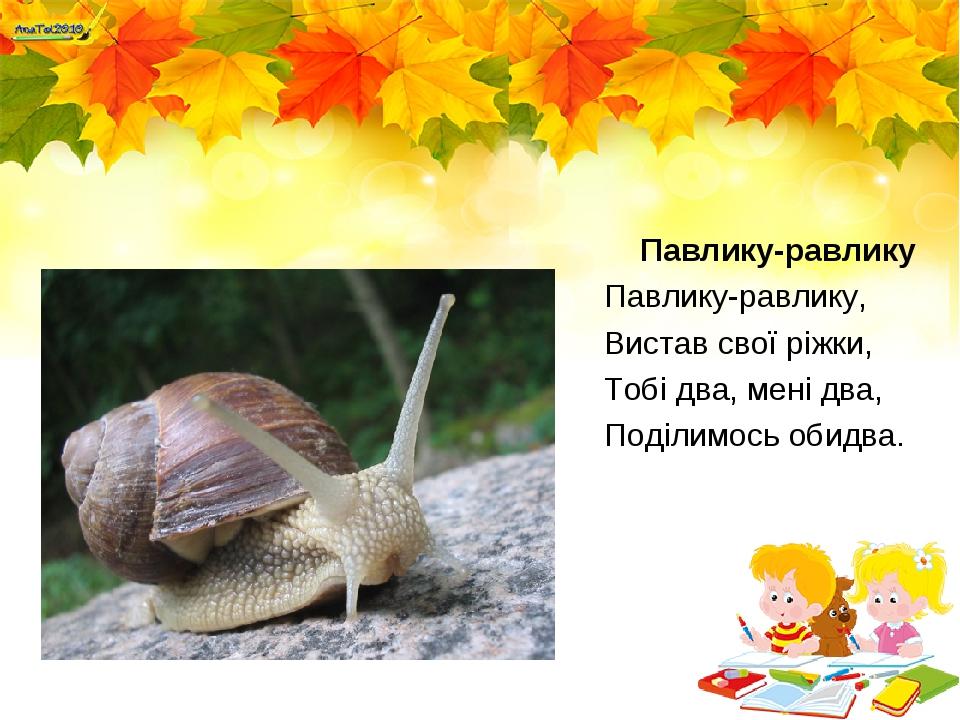 Павлику-равлику Павлику-равлику, Вистав свої ріжки, Тобі два, мені два, Поділимось обидва.
