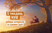 5 тиждень НУШ «Осінь»: добірка матеріалів та цікавих ідей