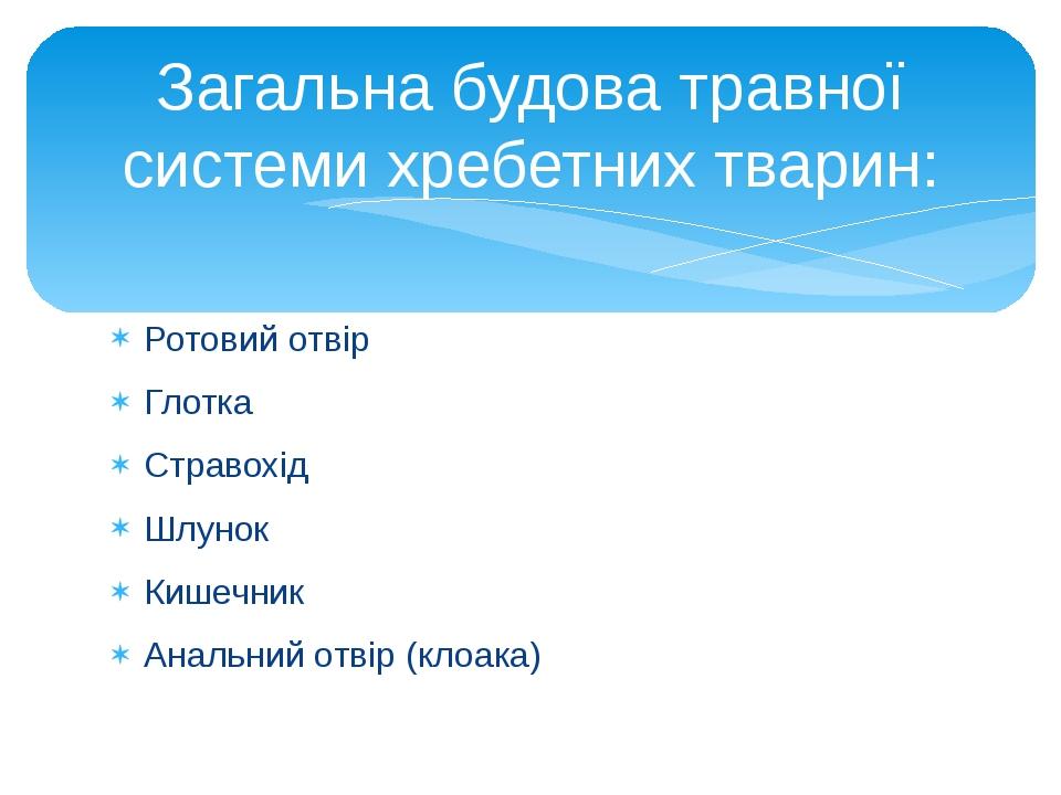 Ротовий отвір Глотка Стравохід Шлунок Кишечник Анальний отвір (клоака) Загальна будова травної системи хребетних тварин: