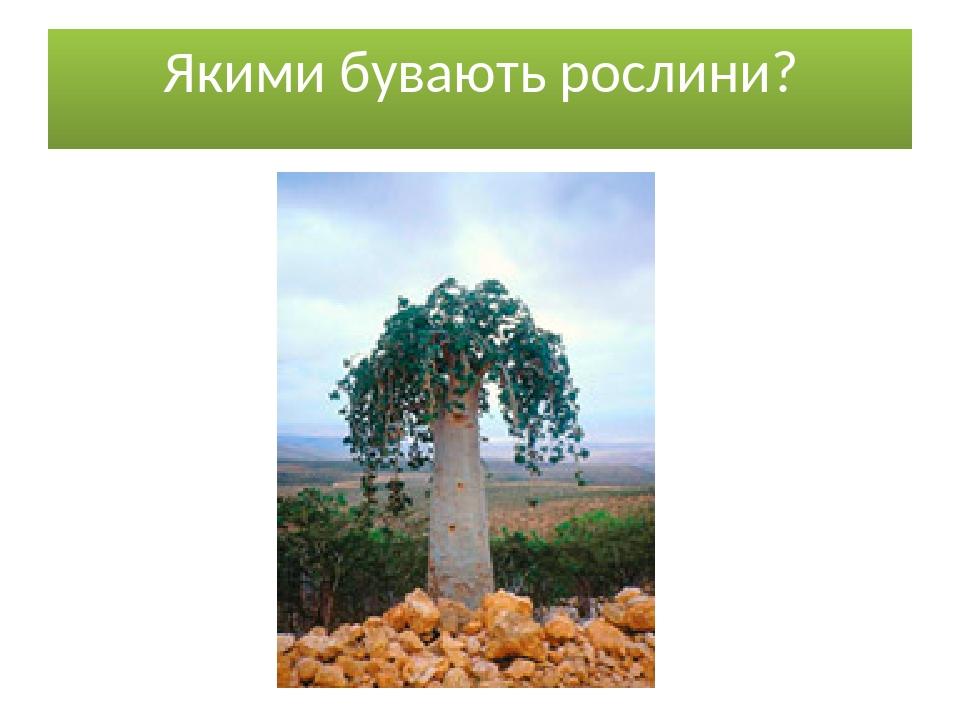 Якими бувають рослини?