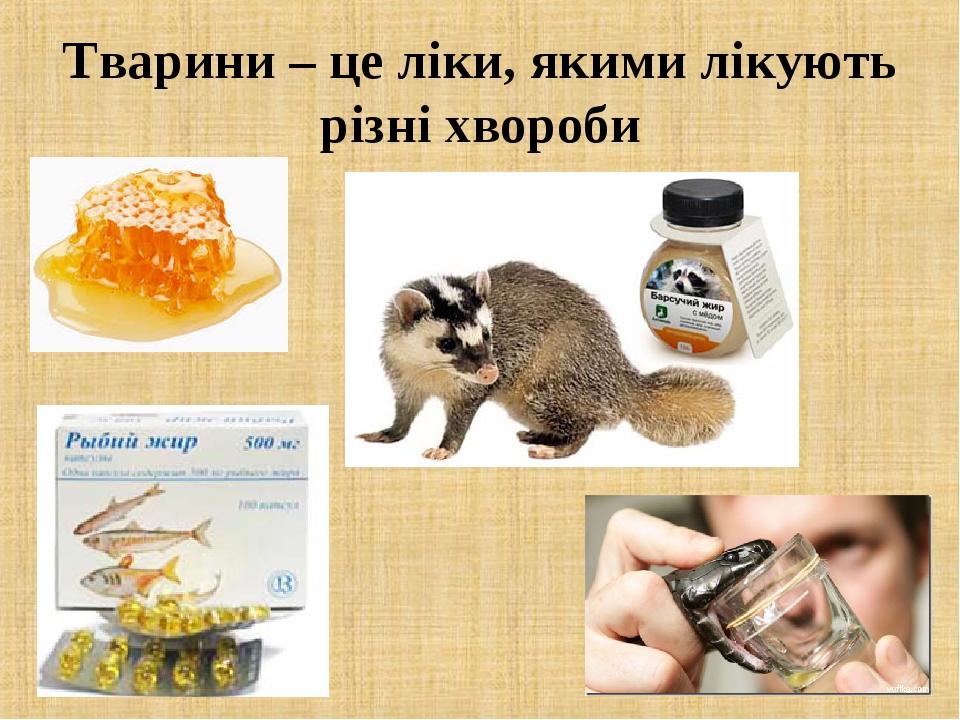 Тварини – це ліки, якими лікують різні хвороби