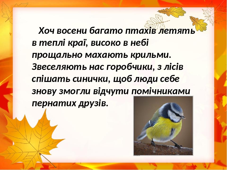 Хоч восени багато птахів летять в теплі краї, високо в небі прощально махають крильми. Звеселяють нас горобчики, з лісів спішать синички, щоб люди ...