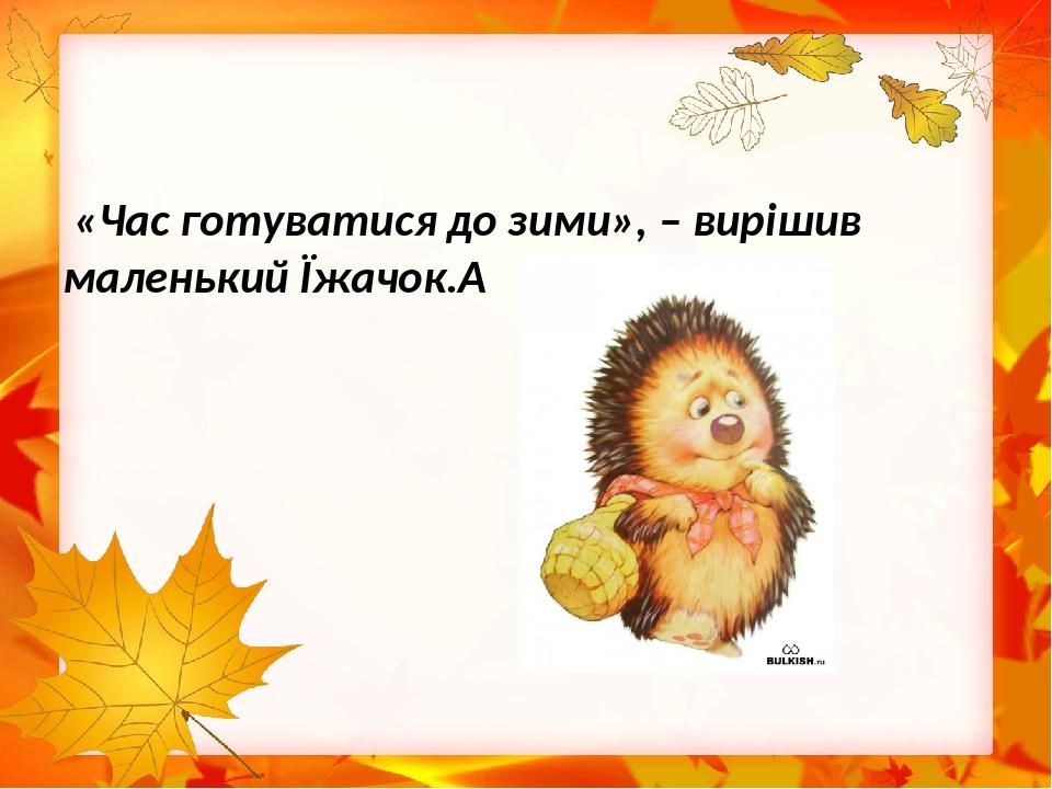 «Час готуватися до зими», – вирішив маленький Їжачок. 