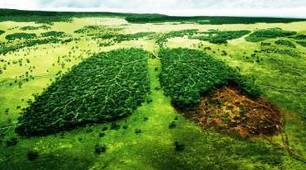Практичне заняття «Збери папір – врятуй дерево – збережи клімат»