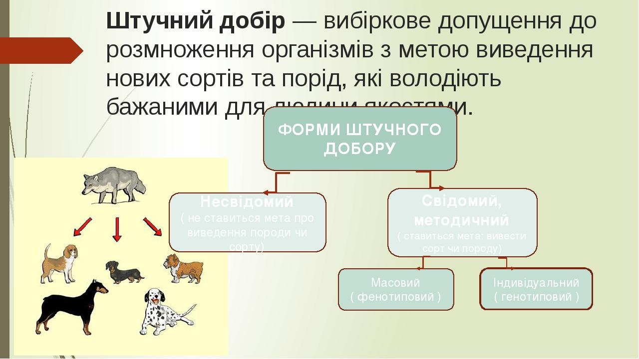 Реферат: Завдання сучасної селекції Поняття про сорт породу штам Штучний добір та його форми