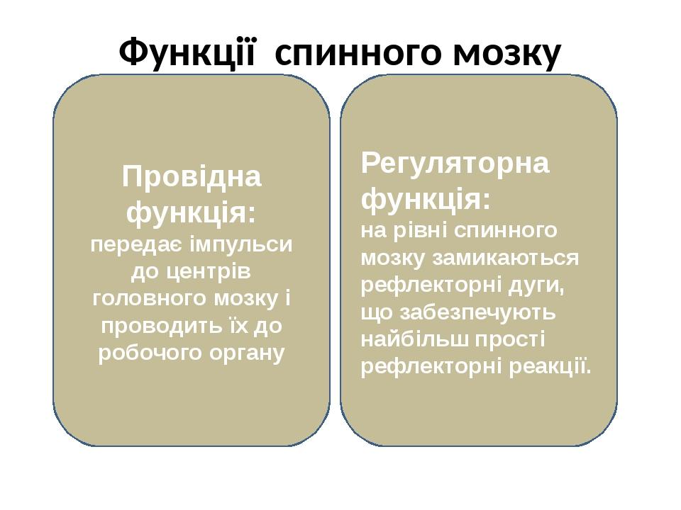 Функції спинного мозку Провідна функція: передає імпульси до центрів головного мозку і проводить їх до робочого органу Регуляторна функція: на рівн...